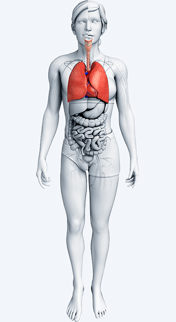 pi_therapeutic-markets_s05_pulmonary.png