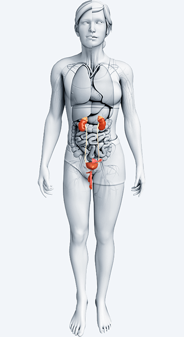 pi_therapeutic-markets_s12_uro-gyne.png