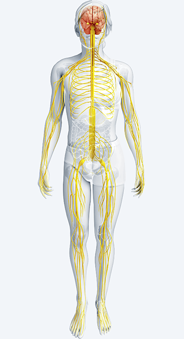 pi_therapeutic-markets_s01_neurology.png